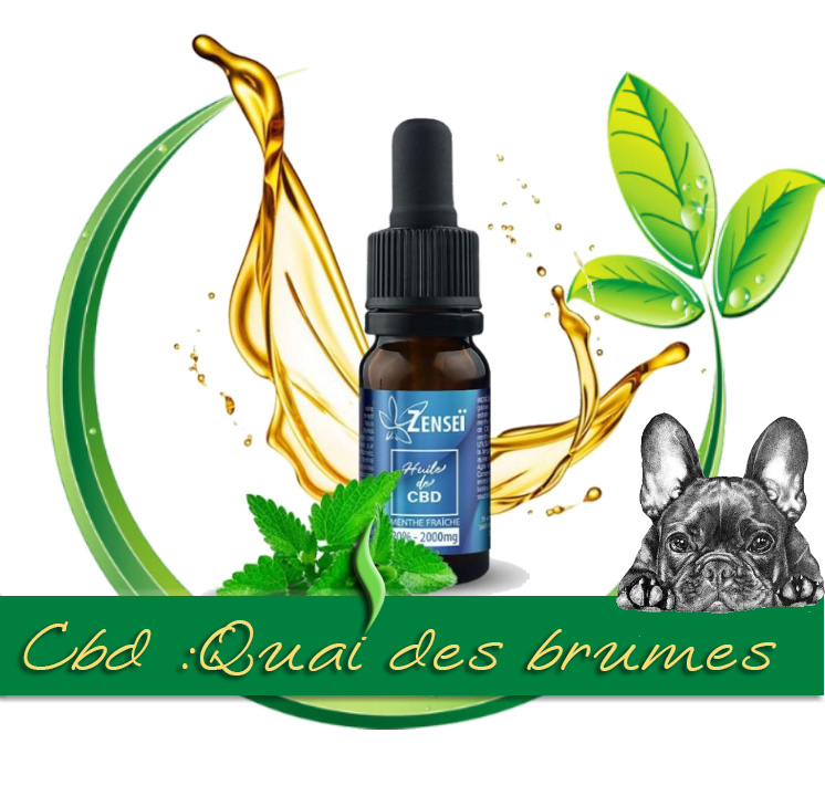 HUILE DE CBD 20% ( menthe fraîche )