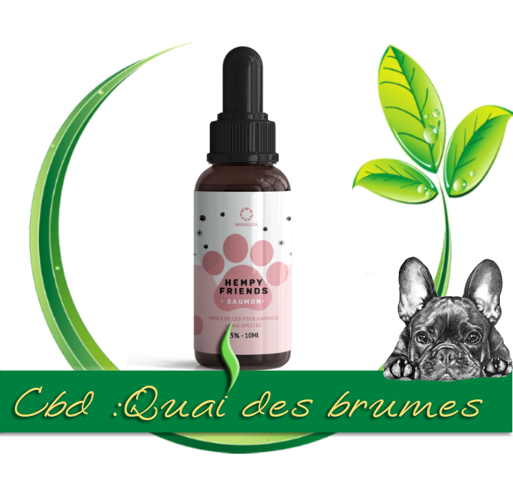 HUILE CBD ANIMAUX 5% SAUMON