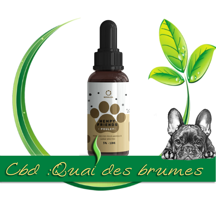 HUILE CBD ANIMAUX 5% POULET