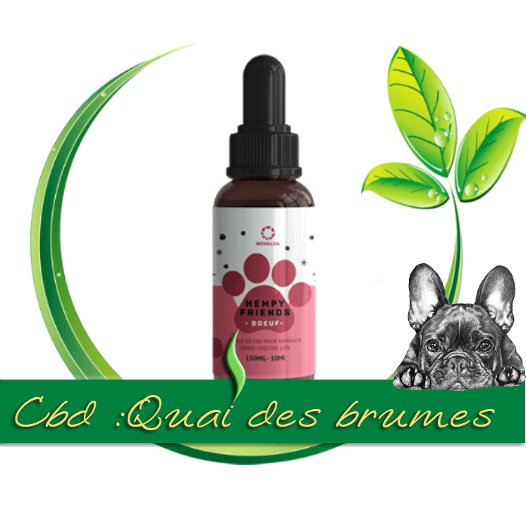 HUILE CBD ANIMAUX( CHATS) 1,5% SAUMON