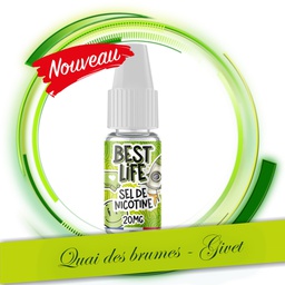 BOOSTER SEL DE NICOTINE 20MG BEST LIFE