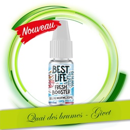 FRESH BOOSTER SEL DE NICOTINE 20MG BEST LIFE