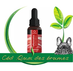 [NOVALOA] HUILE CBD INFLAMATION 10%